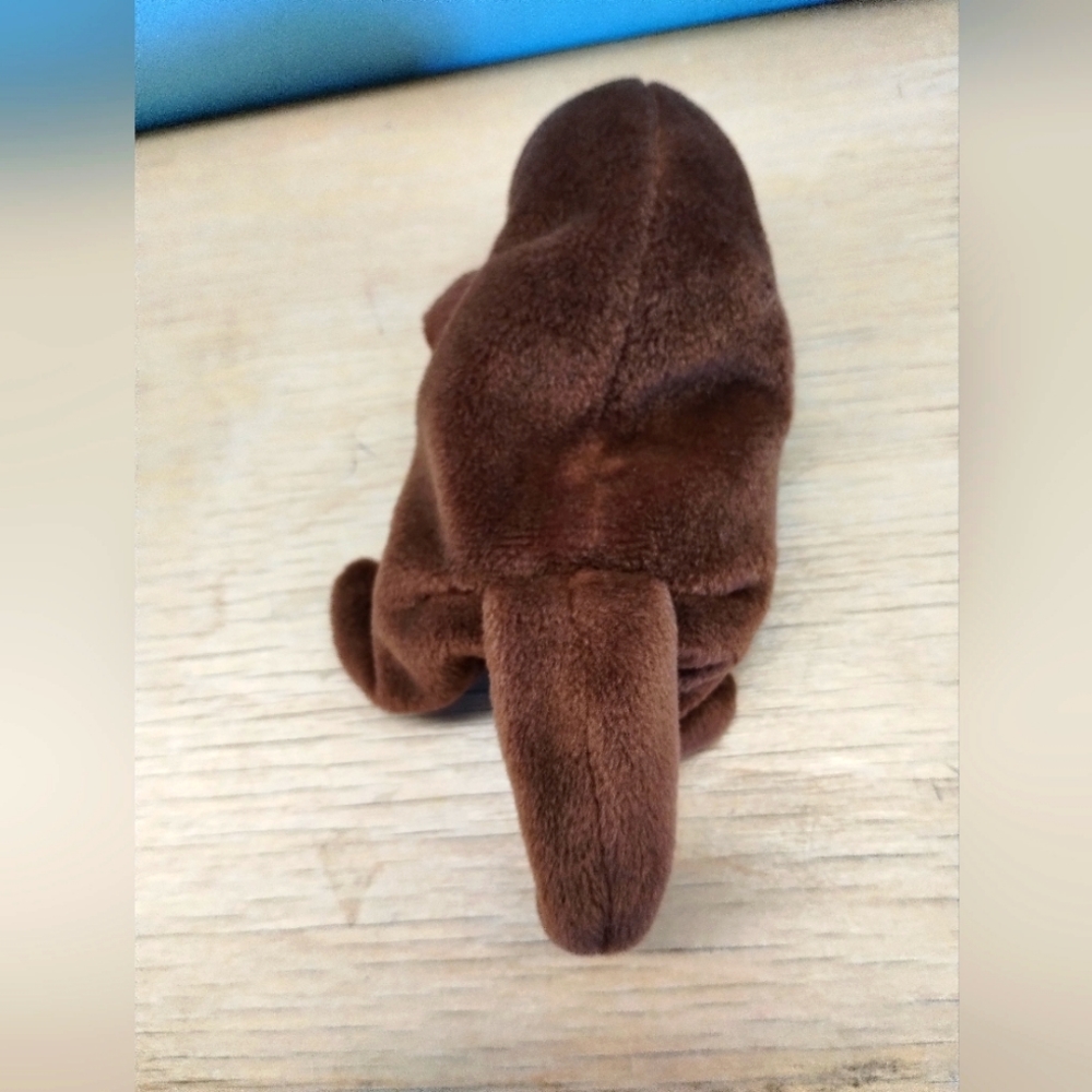 ✓Ty Beanie Baby Seaweed the Otter, 1996, Rare, Retired  - Picture 5 of 13